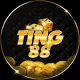 Ting88 Club - Chơi hay, nhận tiền liền tay
