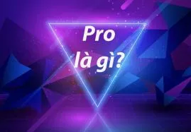 Pro là gì? Làm sao để đạt trình Pro trong game?