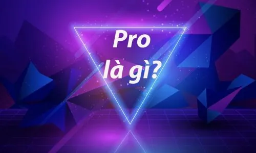 Pro là gì? Làm sao để đạt trình Pro trong game?